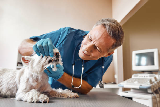 Best Emergency Treatment for Dental Infections or Abscesses in Short Pump, VA